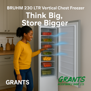 BRUHM UPRIGHT CHEST FREEZER