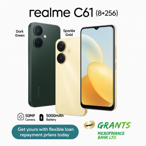 C61 8+256