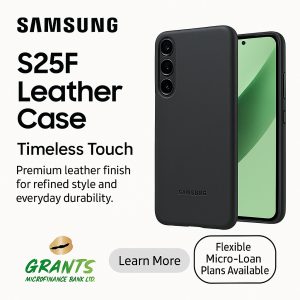 S25F Leather case Hochuen