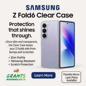 Z Fold 6 Clear Case