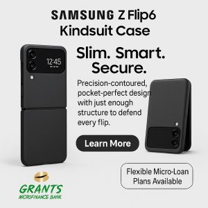 Z flip 6 kindsuit case