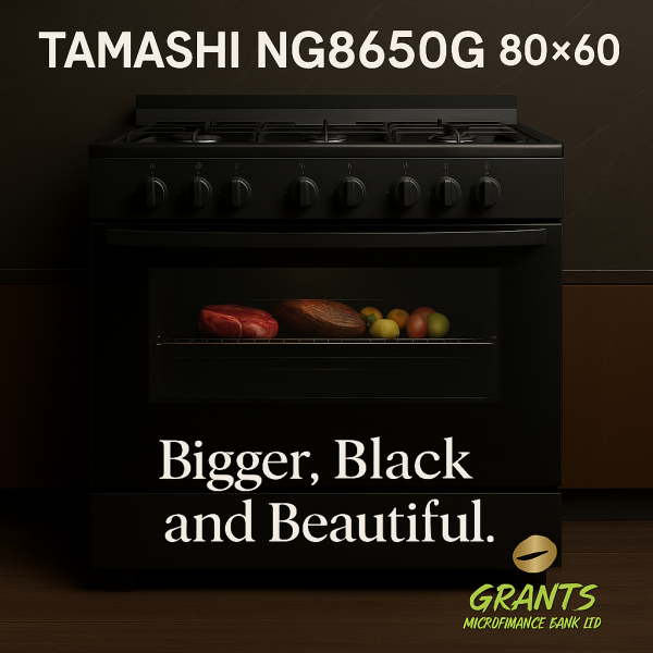 GAS BURNER