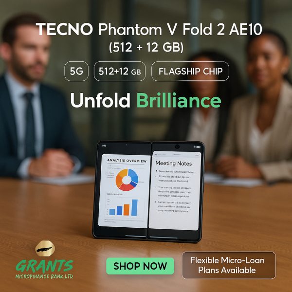 TECNOPhantom V Fold 2AE10 512+12