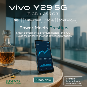 Y29(8+256)